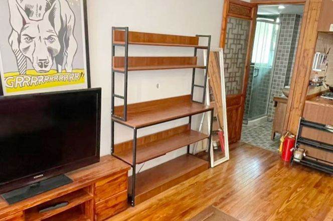 Lovely spacious 1brs / bright n cozy close to Mid Huaihai rd Line 13