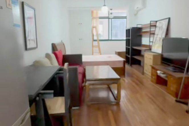 Lovely spacious 1brs / bright n cozy close to Mid Huaihai rd Line 13