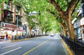 Streetfront Light Meal Shops nr DaPuQiao M9