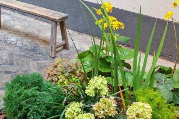 3 br unique old house&high ceiling&lovely yard/South shanxi rd 