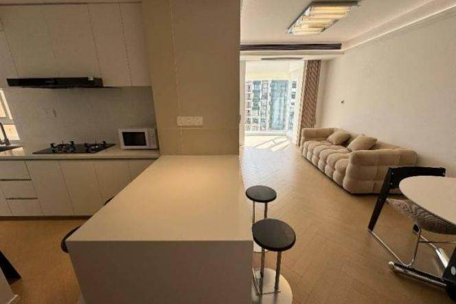 88 sqm brand new 1 br Apt/29F &Suzhou Creek View for 12K