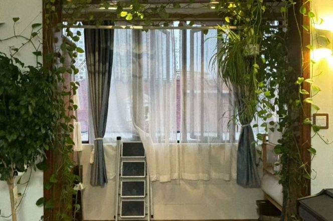 Elevator 1Br/1Lr/1Bt apt nr Jiaotong university,M10/11