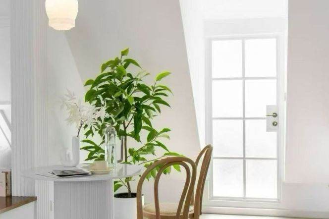 Jiaotong University 1BR with terrace