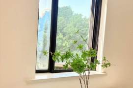 Nice1BR+1LR/Zhongshan Park L2/3/4/4F/50sqm/7K