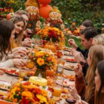 Drink.Laugh.Picnic (DLP) – Friendsgiving Picnic