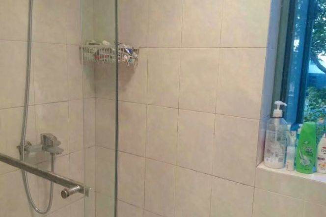 Cozy bright rooms jiang su lu2/11 zhong shan park ECNU