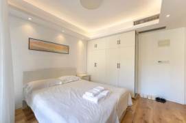 1 br near L2/L12/L13 west nanjing rd station+elevator