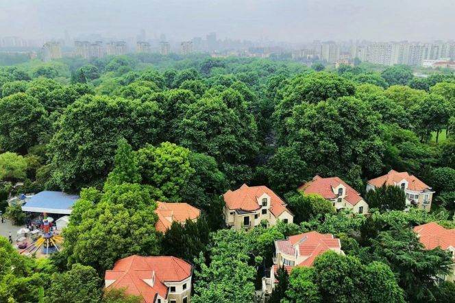 Top duplex/big terrace/600sqm/6brs/Shanghai zoo station line10