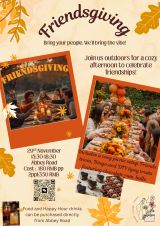 Drink.Laugh.Picnic (DLP) – Friendsgiving Picnic