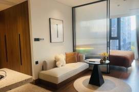 1BR near ECNU，SIT， Jiao'tong and  Caohejing Development Zone can long and short lease