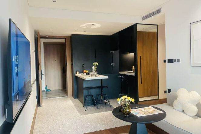 1BR near ECNU，SIT， Jiao'tong and  Caohejing Development Zone can long and short lease