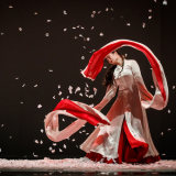 The Moon Opera—The Seventh Season of "Yabin and Her Friends"