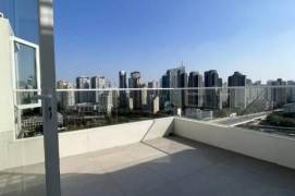 230 sqm 4 br penthouse&floor heating&roof terrace/Suzhou Creek 25K