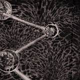 Cryptic Shift (UK), Slimelord (UK), Reverence to Paroxysm (MEX), Castleumbra (MEX)