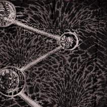 Cryptic Shift (UK), Slimelord (UK), Reverence to Paroxysm (MEX), Castleumbra (MEX)