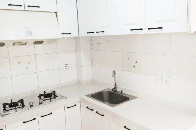 Zhongshan park 1BR apartment