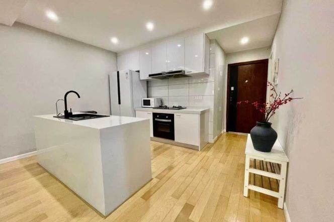 Quality 3+1br with Clubhouse @Julu Rd &South Shaanxi Rd    