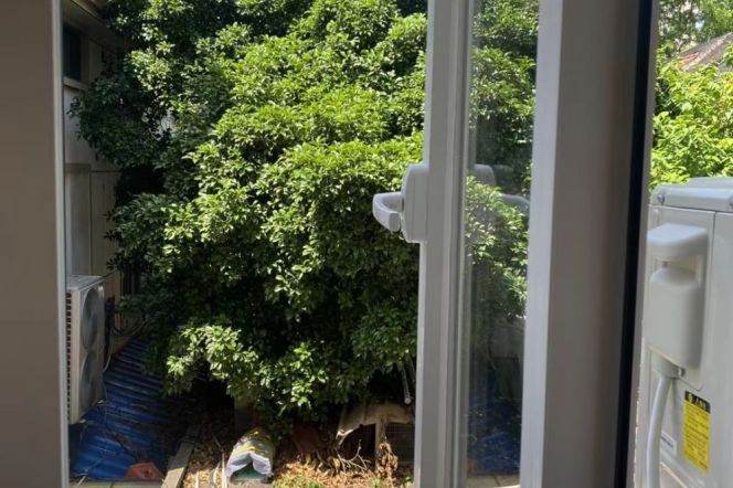 Bonny House close to Xujiahui Park