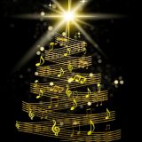 Wellington Secondary Christmas Concert 2025