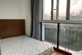 1Studio with elevator near foreign street can long and short term lease