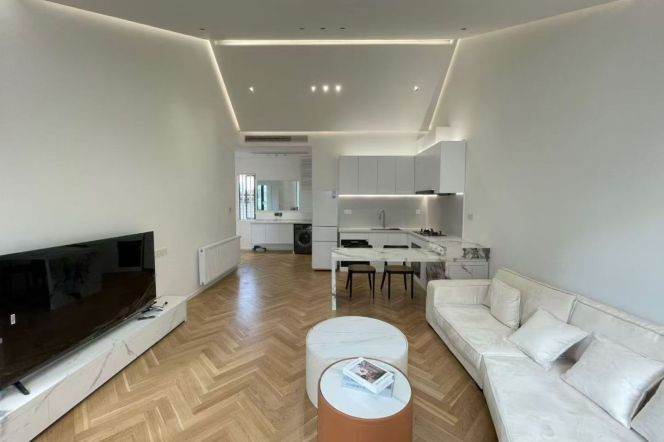 Charming 1+1br with terrace near Hanzhong Rd 