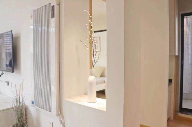 Jiangsu rd 1BR apartment