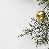 JOJO's Delux Seafood Set