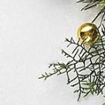 JOJO's Delux Seafood Set