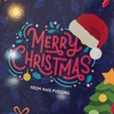 NAIS Pudong Christmas Fair