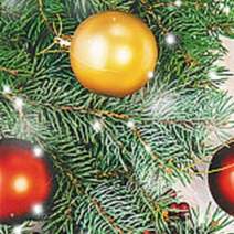 Christmas & New Year Chez Jojo