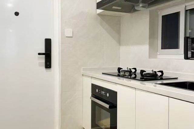 affordable apartment- special offer- 1 bed with cosy vibe at zhongshan park 