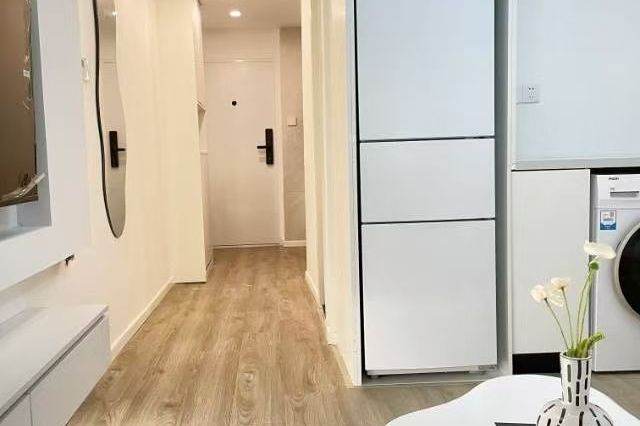 affordable apartment- special offer- 1 bed with cosy vibe at zhongshan park 