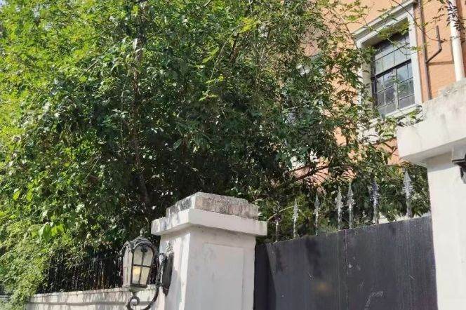 YanAn M Rd Charming House