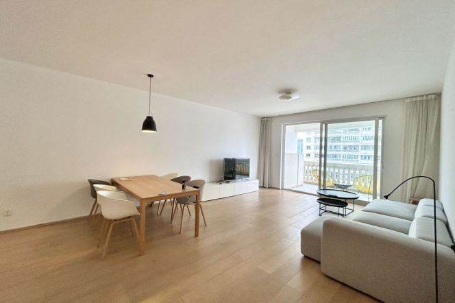 modern big 3brs floor heating open kitchen open balcony near IAPM line 1,10,12 