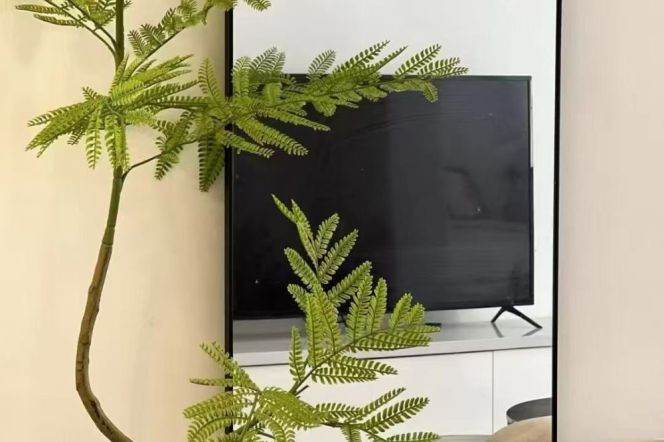 zhongshan park station one bedroom