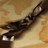 Yingshui Dijiang, Normal Jamming, Sankin77