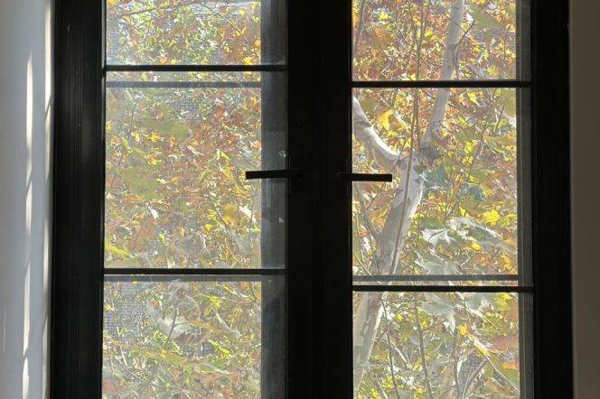 Newly Renovated 2BR 2BA Old House w/Terrace nr IAPM