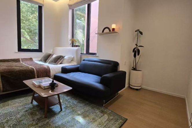 Furnished bright 1br-Changping