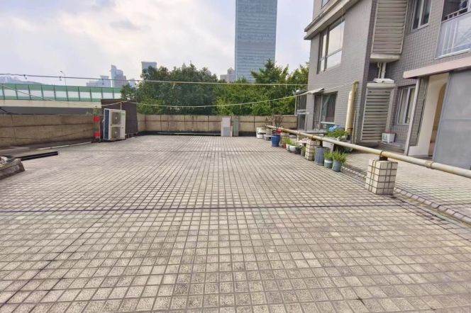 Sunny Terrace Flat beside Suzhou Creek