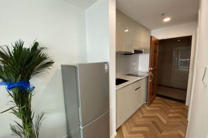 Jing'an temple elevator 1BR with balcony