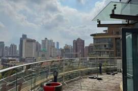 Suzhou river duplex 4BR 3BATH with terrace