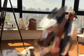 Beside Huashan Green Space in the old Wutong District, a luxurious 3-bedroom mansion，L 10-11