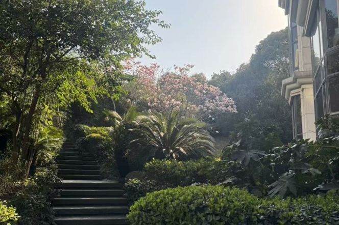 Beside Huashan Green Space in the old Wutong District, a luxurious 3-bedroom mansion，L 10-11