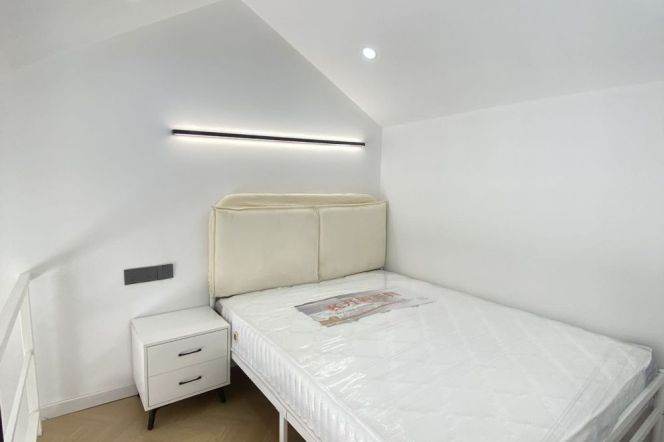Bright 1Br Furnished Jiangsu Rd Station