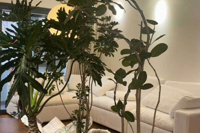 Modern 2BR Elevator Apt on Yanping Rd/Jing'an Temple