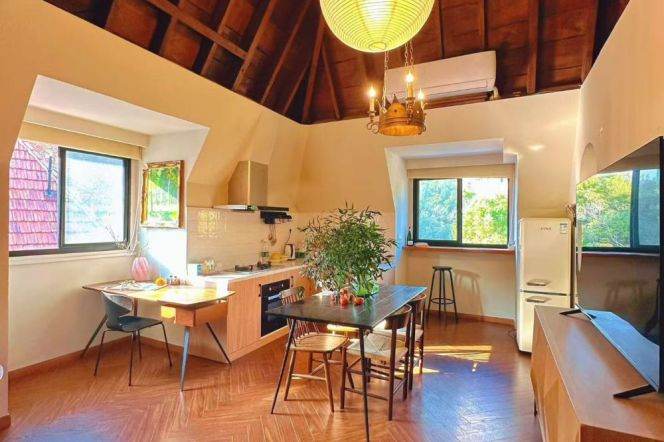 110 sqm 1 br unique old house &lovely terrace/Shanghai library 20K