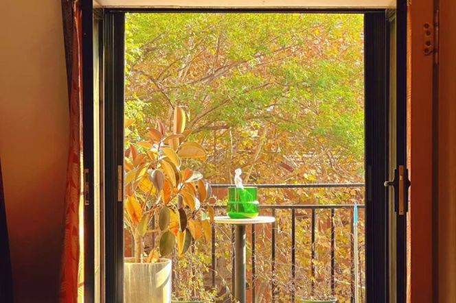 110 sqm 1 br unique old house &lovely terrace/Shanghai library 20K