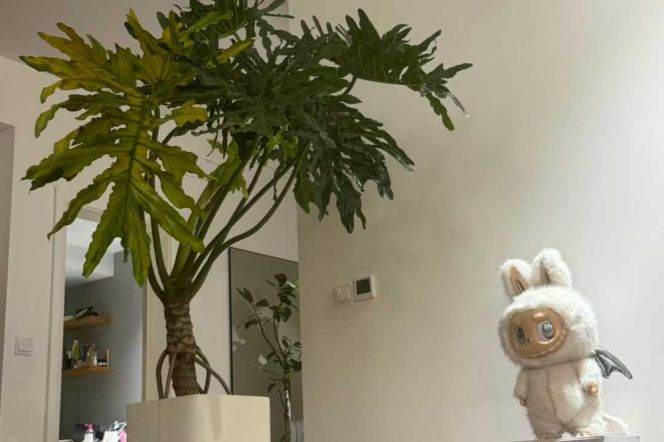 Modern 2BR Elevator Apt on Yanping Rd/Jing'an Temple