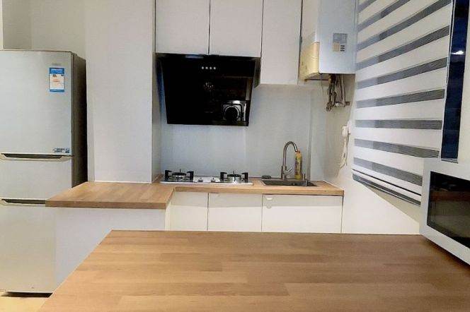 1 br near L9/L12 jiashan rd station +elevator