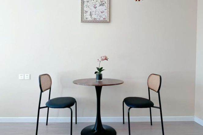 Elevator 1br/balc @jinshajiang sta 6.3k